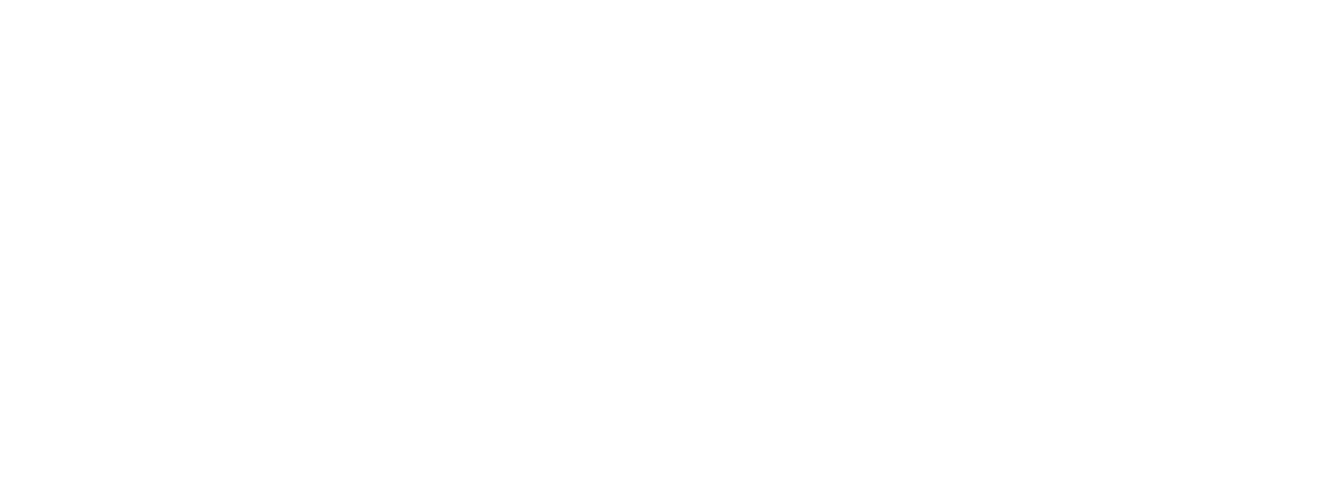 LOGO  NEG  FOND BLEU  TEXTE EN BLANC  HD NL1.jpg